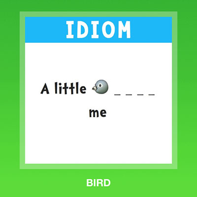  Bird 