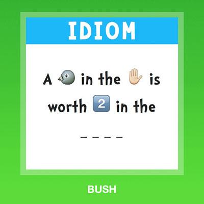  Bush 