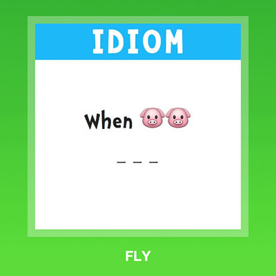  Fly 