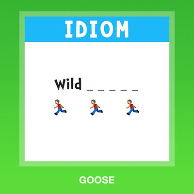  Goose 