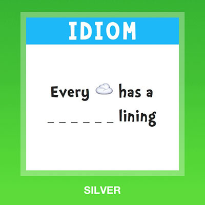 Silver 