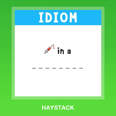  Haystack 